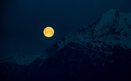 Mondkalender ▷ Bedeutung der Mondphasen für Garten & Co.