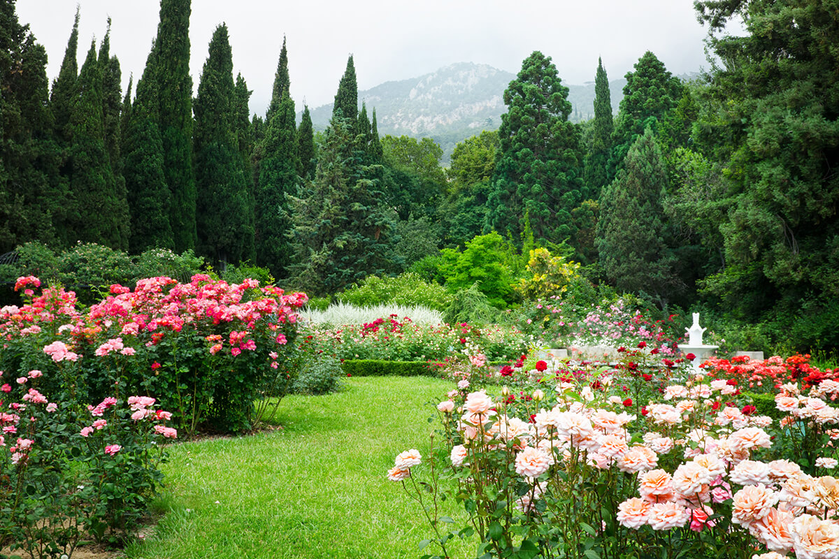 Rosengarten mit verschiedenen Rosenbeeten