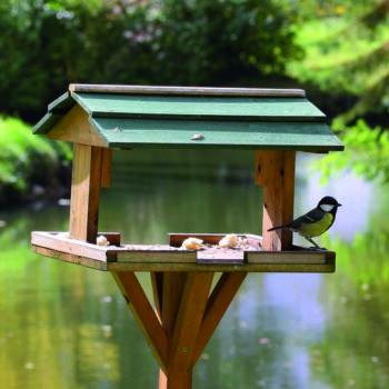 Eine Grafik zu Futterhäuser kaufen