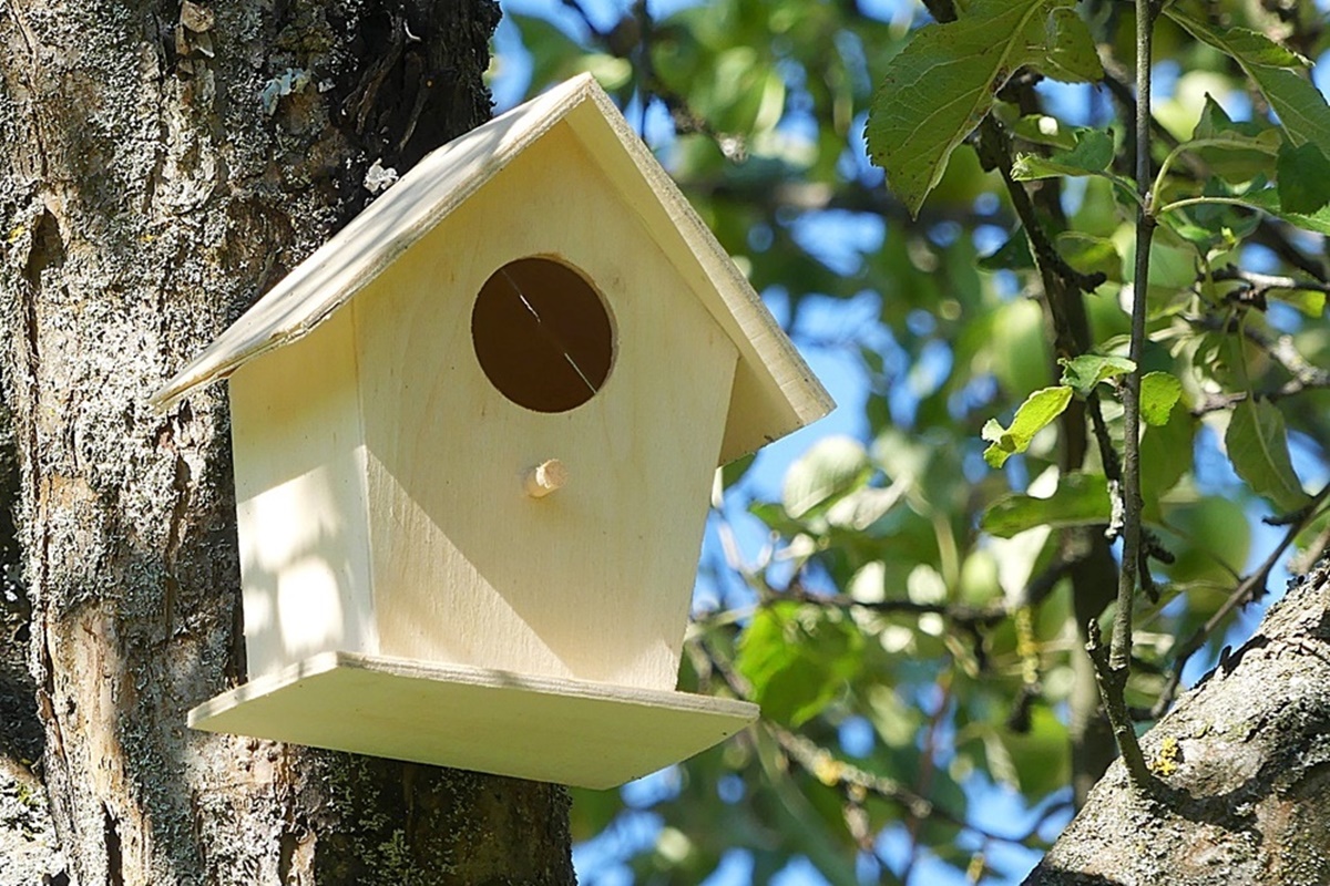 Kleines Vogelhaus für Spatzen