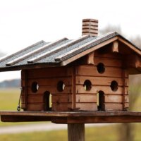 Vogelhaus mit mehreren Eingängen