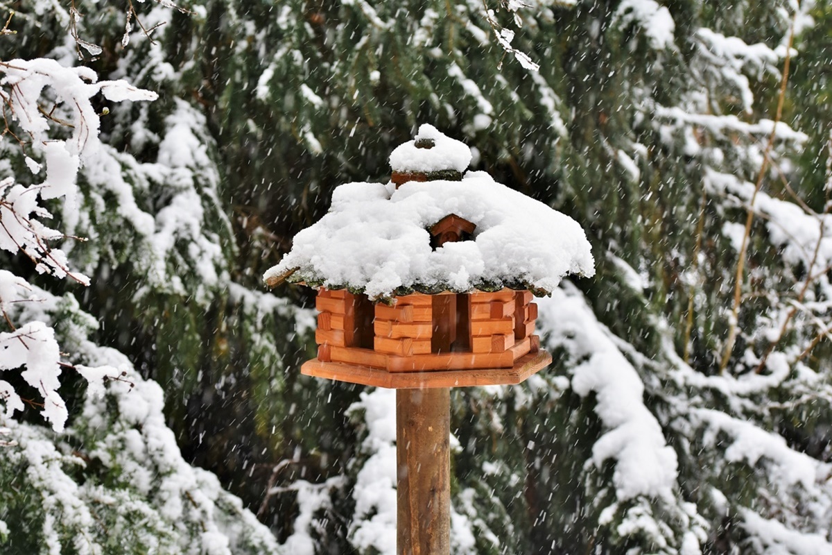 Vogelhaus im Winter im Garten