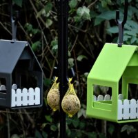 Vogelhäuser in Schwarz und Grün