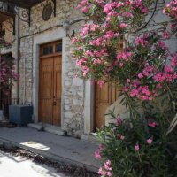 Oleander an einem Hauseingang