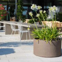 Oleander neben Gartenmöbeln