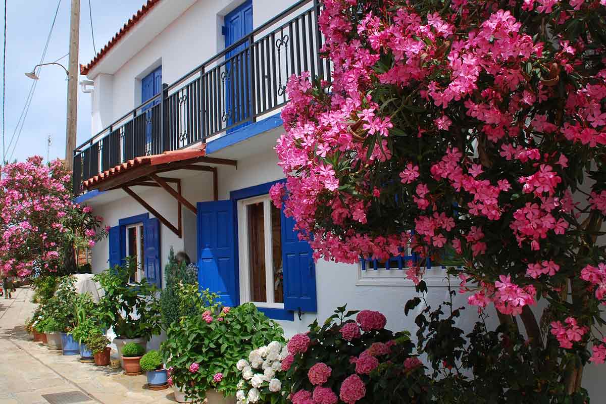 Haus mit Oleander und blauen Fensterläden