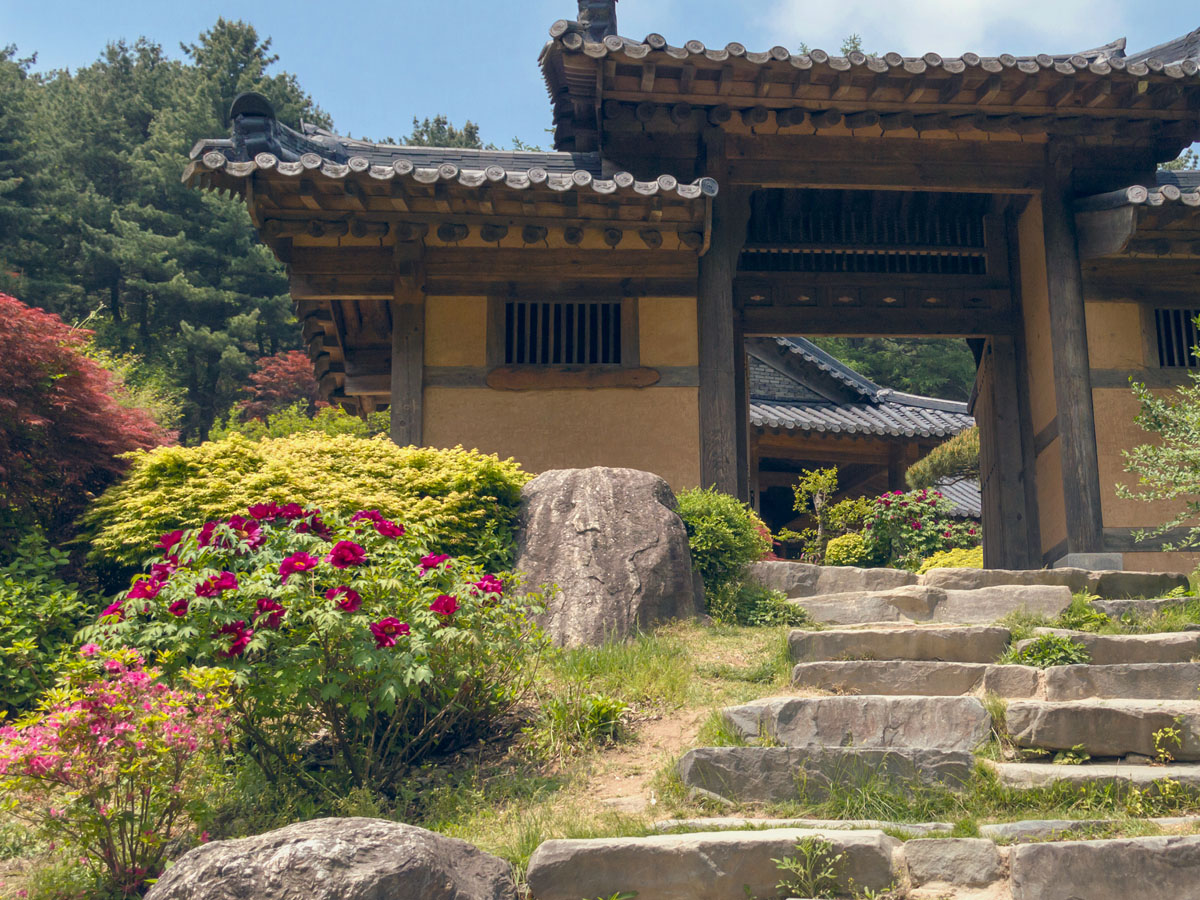 Gebäude im asiatischen Stil mit Strauch-Pfingstrose