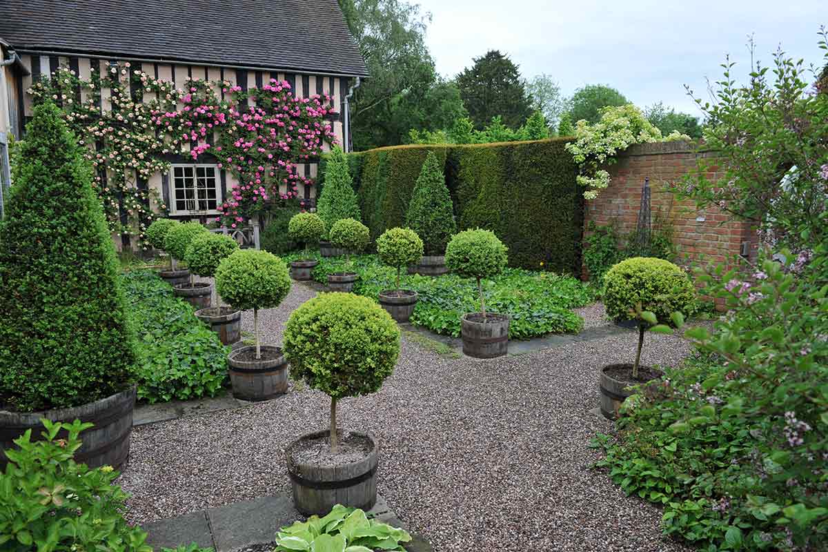 Buchsbäume am Weg zum Haus