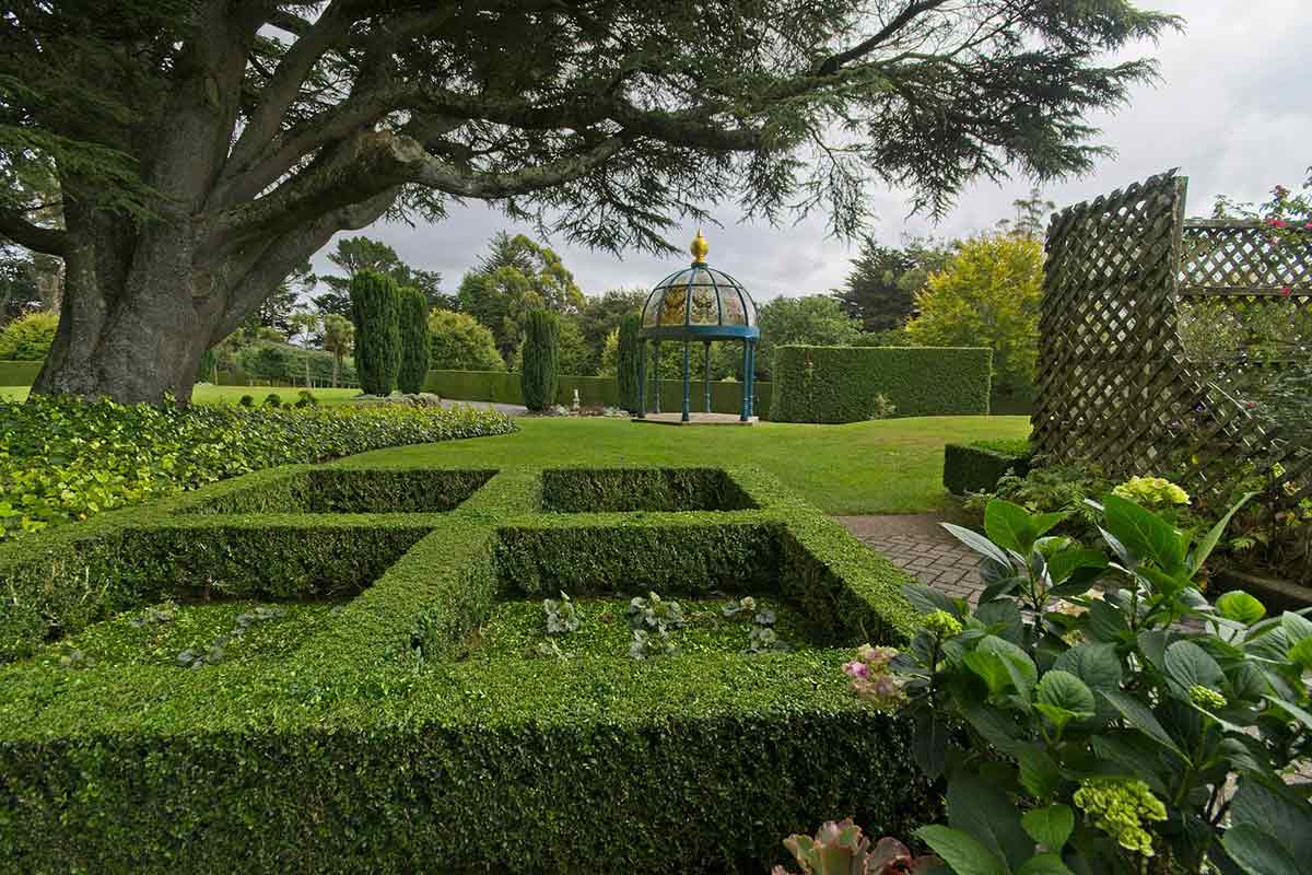 Quadratischer Formschnitt einer Buchsbaumhecke