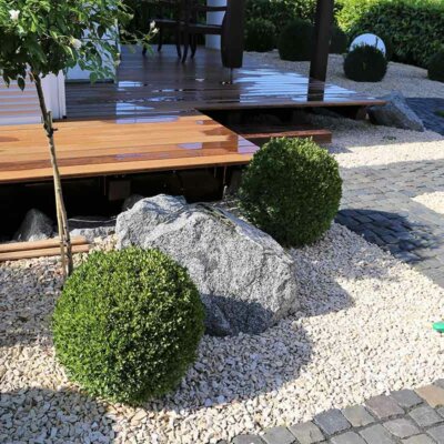 Buchsbaum-Kugeln vor modernem Hauseingang