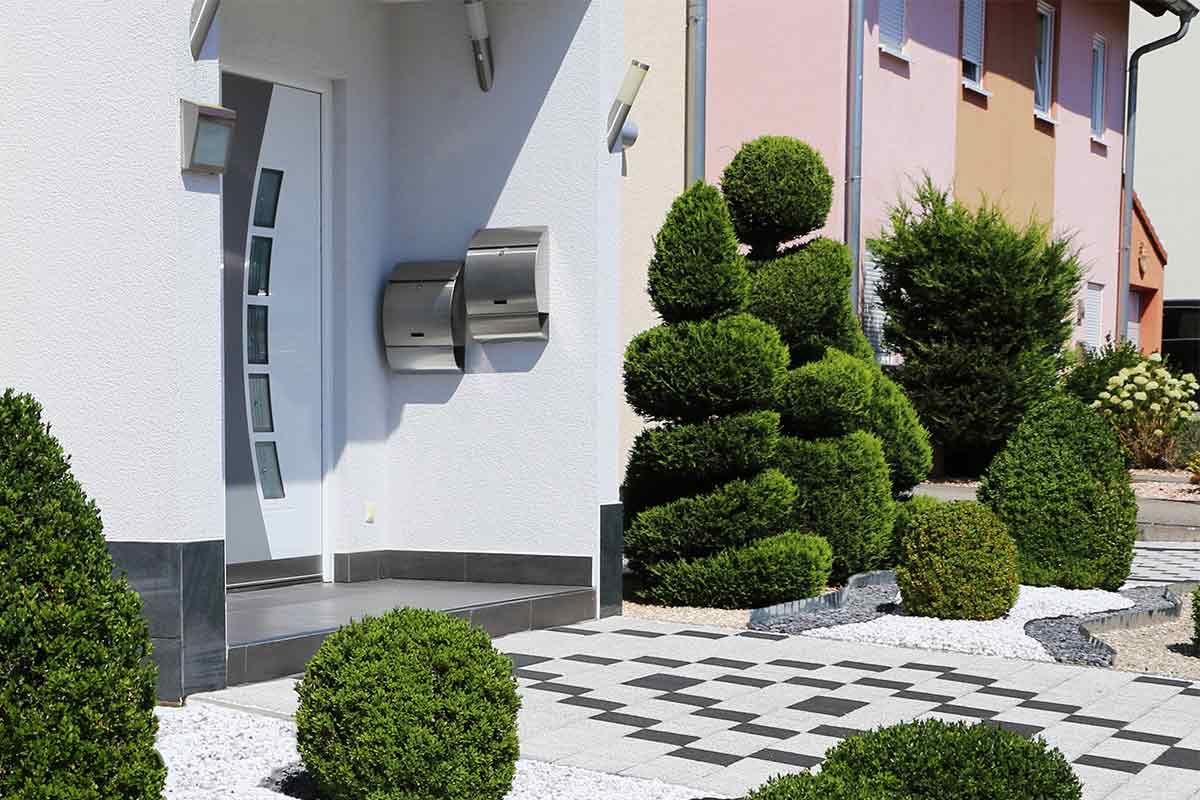 Buchsbaum in Spiralform