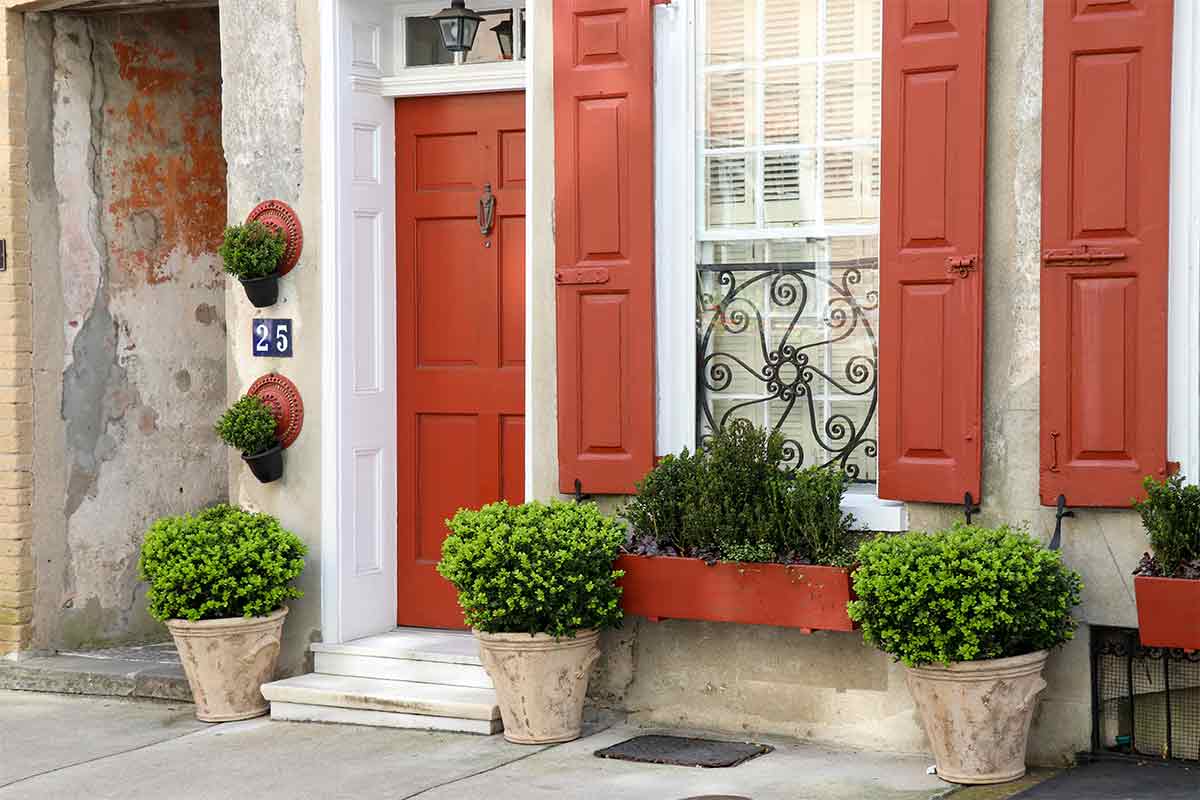 Getopfte Buchsbäume vor einem Haus