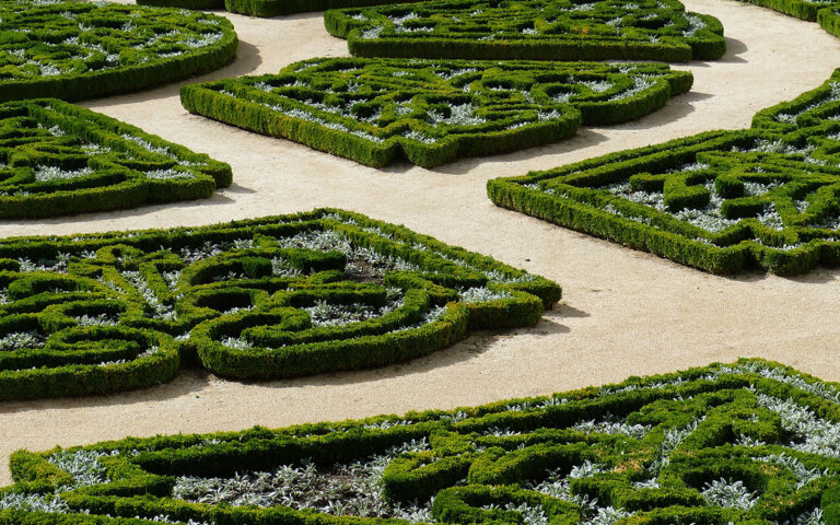 Buchsbaum pflanzen & pflegen – Buchsbaumzünsler bekämpfen