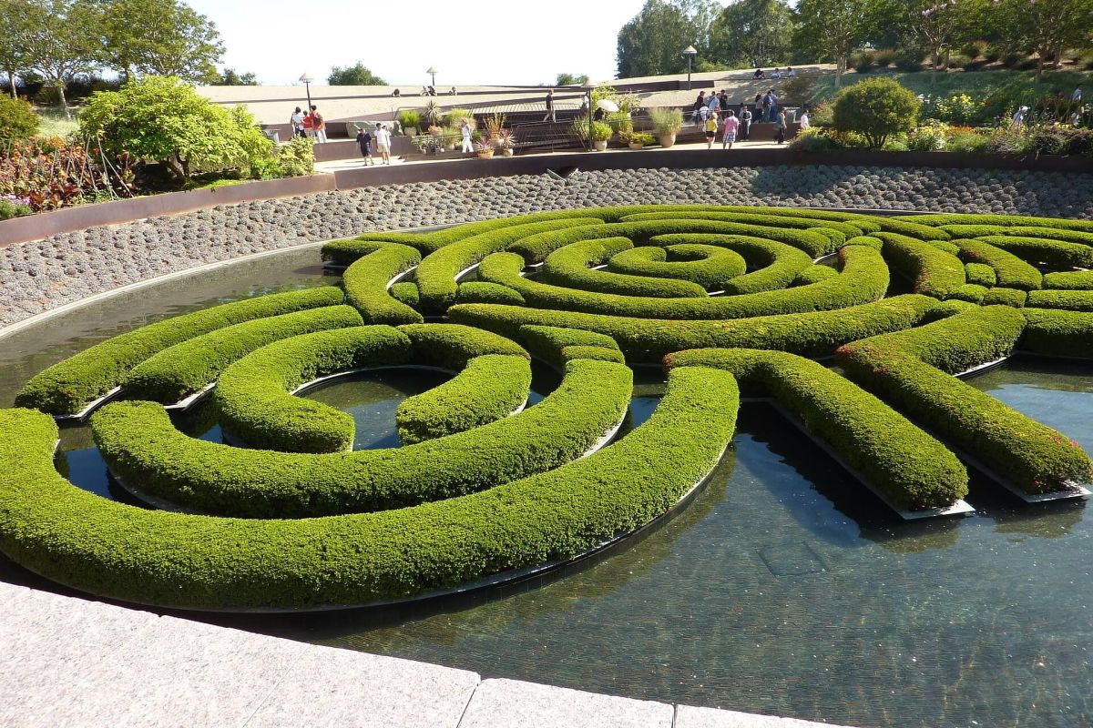 Buchsbaum als Element im modernen Garten