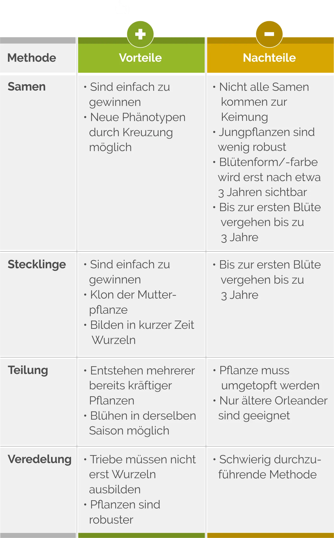 Grafik zu Vermehrungsmethoden von Oleander