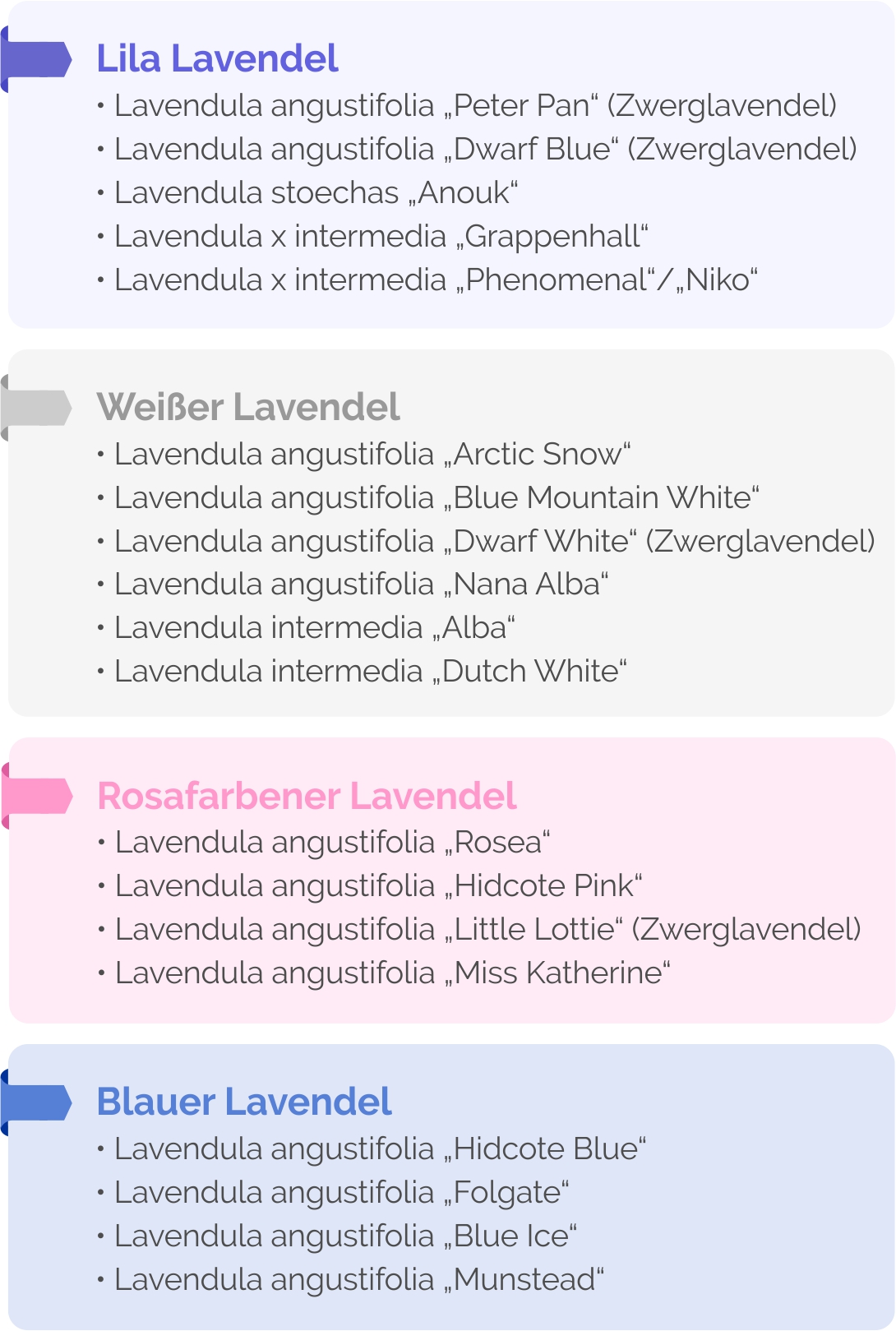 Lavendel-Farben im Überblick