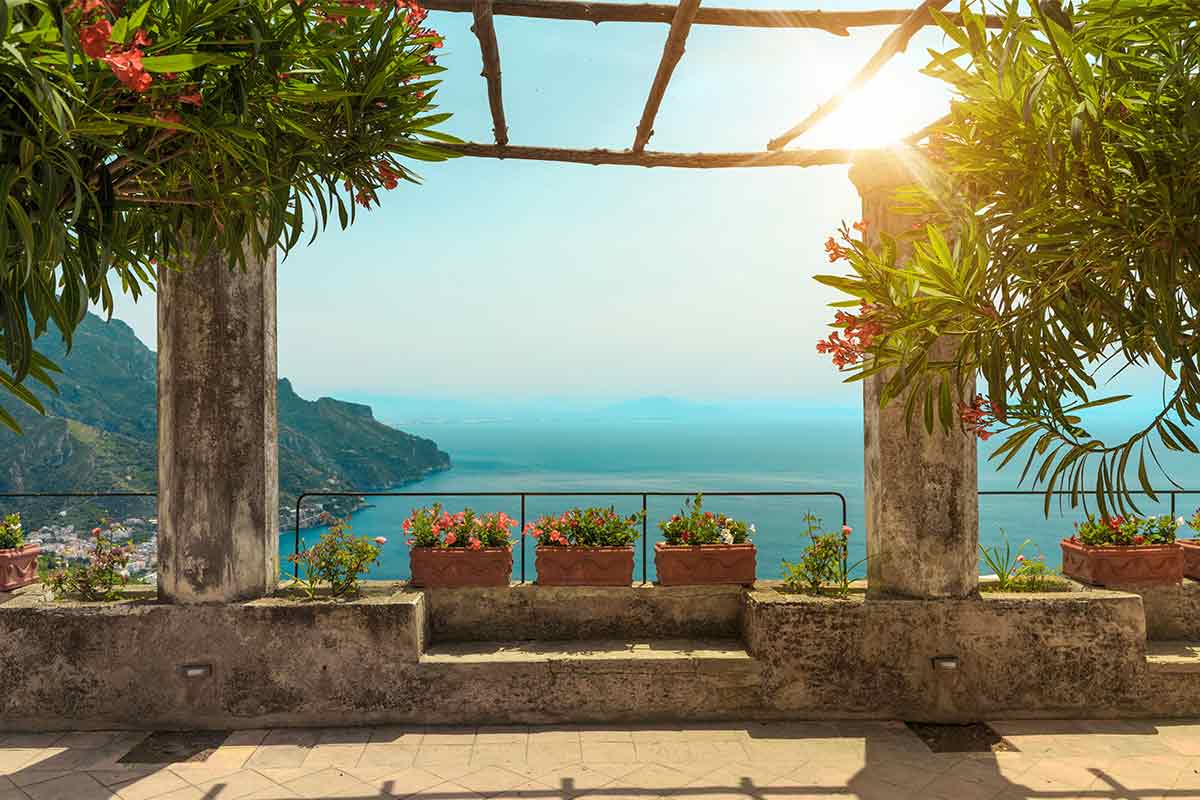 Oleander auf einer Terrasse