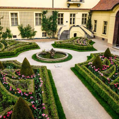 Platzgestaltung mit Buchsbäumen © Brenda Kean / shutterstock.com