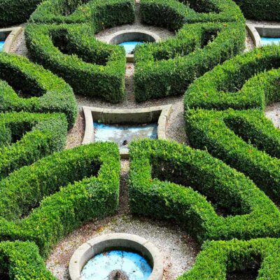 Symmetrische Buchsbaumhecken © Dorota Szymczyk / shutterstock.com