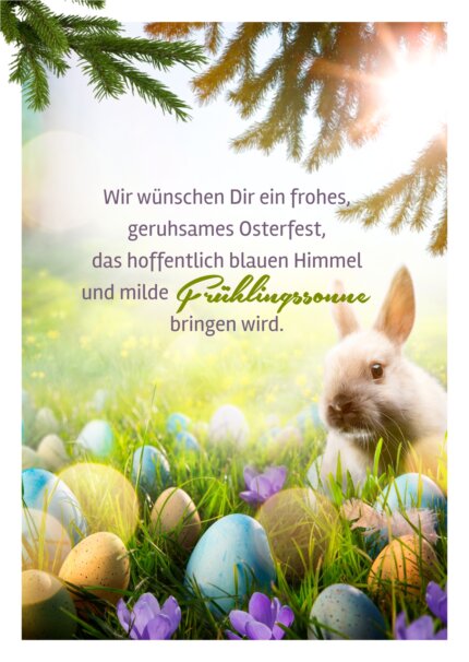 FRÜHLINGSSONNE