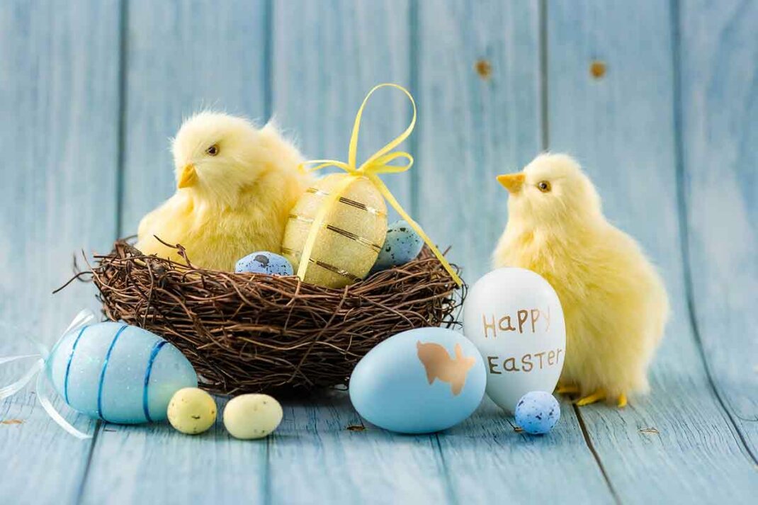 fröhliche und lustige ostersprüche und osterwünsche mit süßen küken