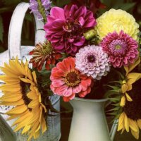 Blumenstrauß in einer Kanne