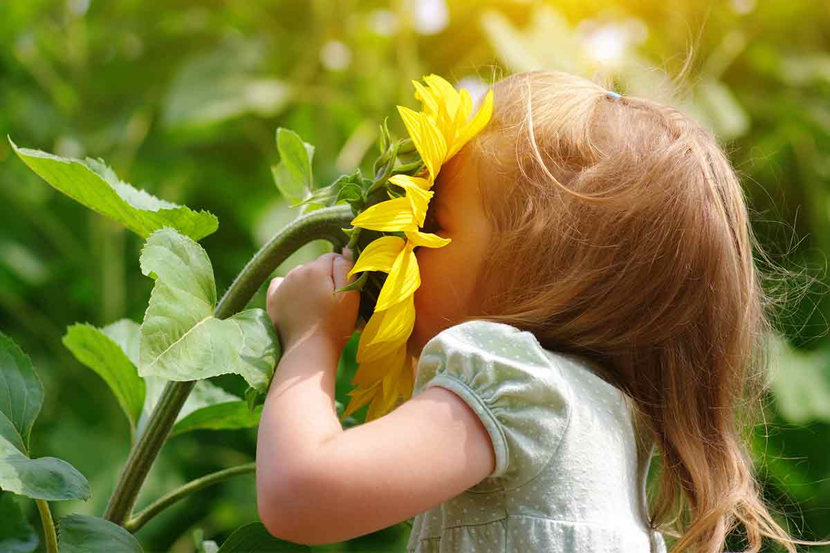 Kleines Mädchen mit Sonnenblume