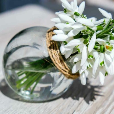 Schneeglöckchen im Glas