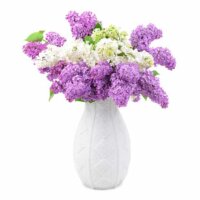 Pflanzvase