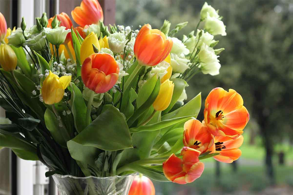 Gelbe und orangene Tulpen im Strauß