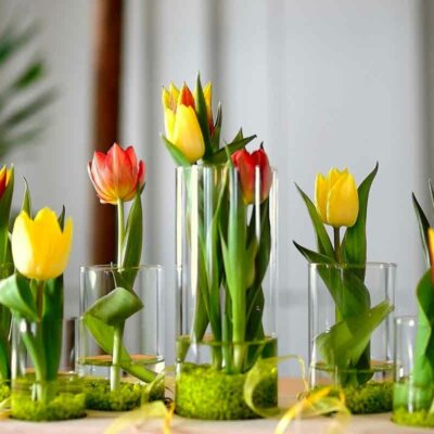 Tulpen in Dekogläsern