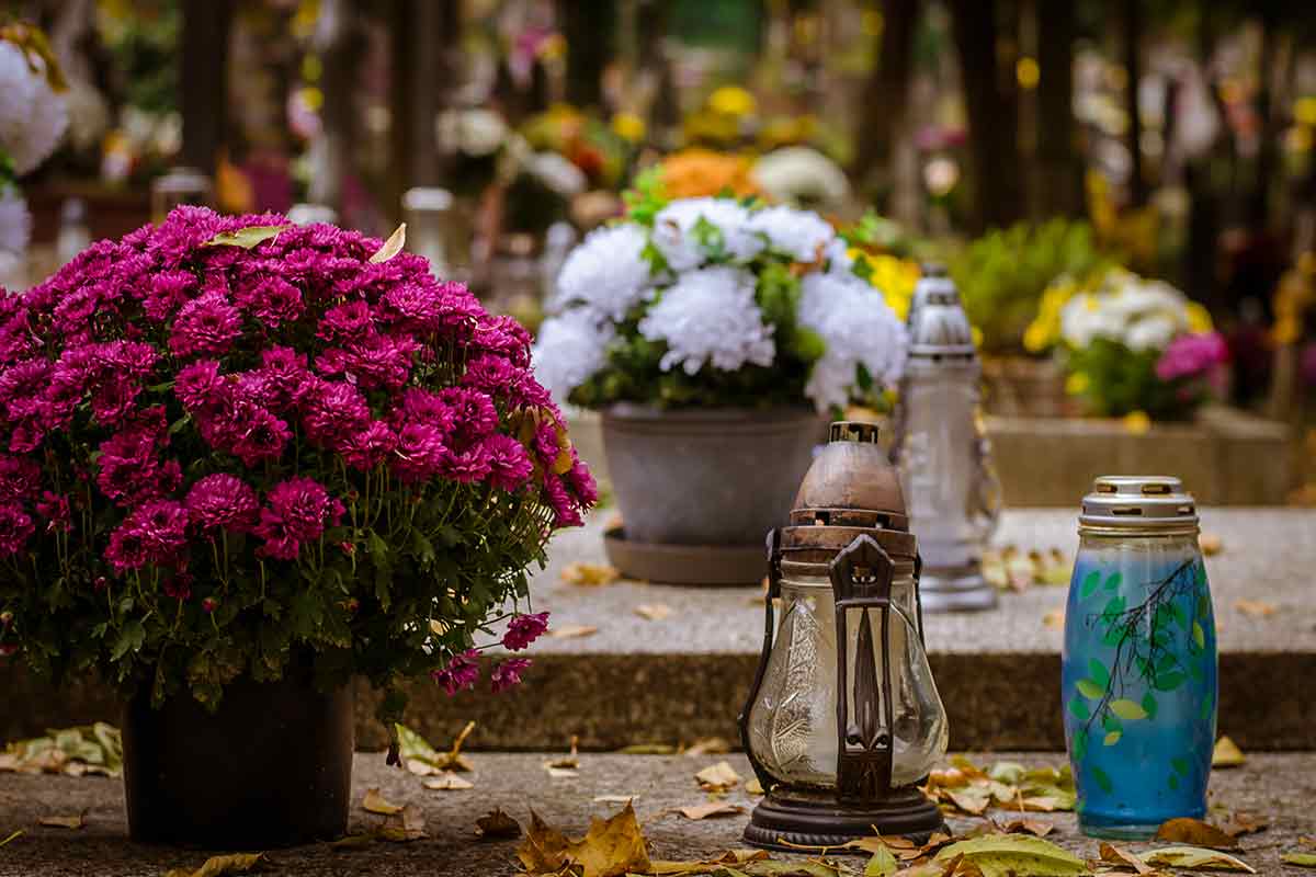 Chrysanthemen auf einem Grab
