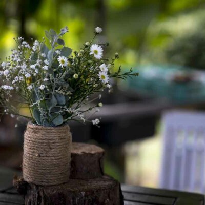 Chrysanthemen eignen sich auch für die Vase
