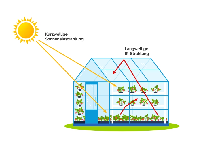 Grafik: Wärmestrahlung im Gewächshaus