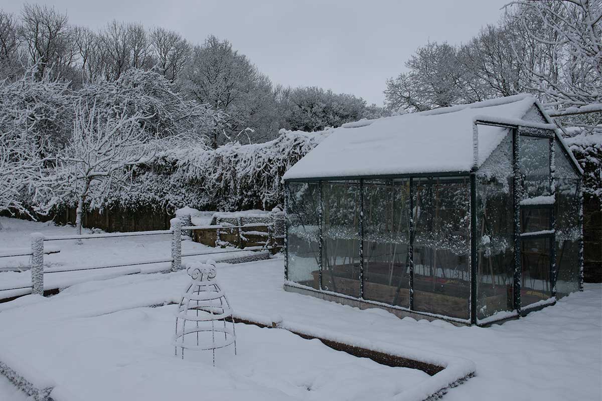 Gewächshaus im verschneiten Garten