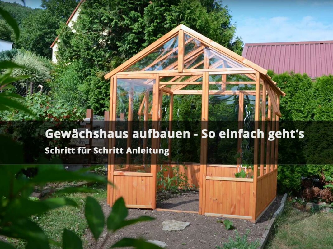 Gewächshaus selber bauen & kaufen – Modelle in klein & groß  aus Glas  Folie & Co.