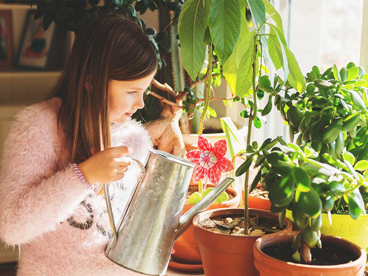 Mädchen gießt Avocado