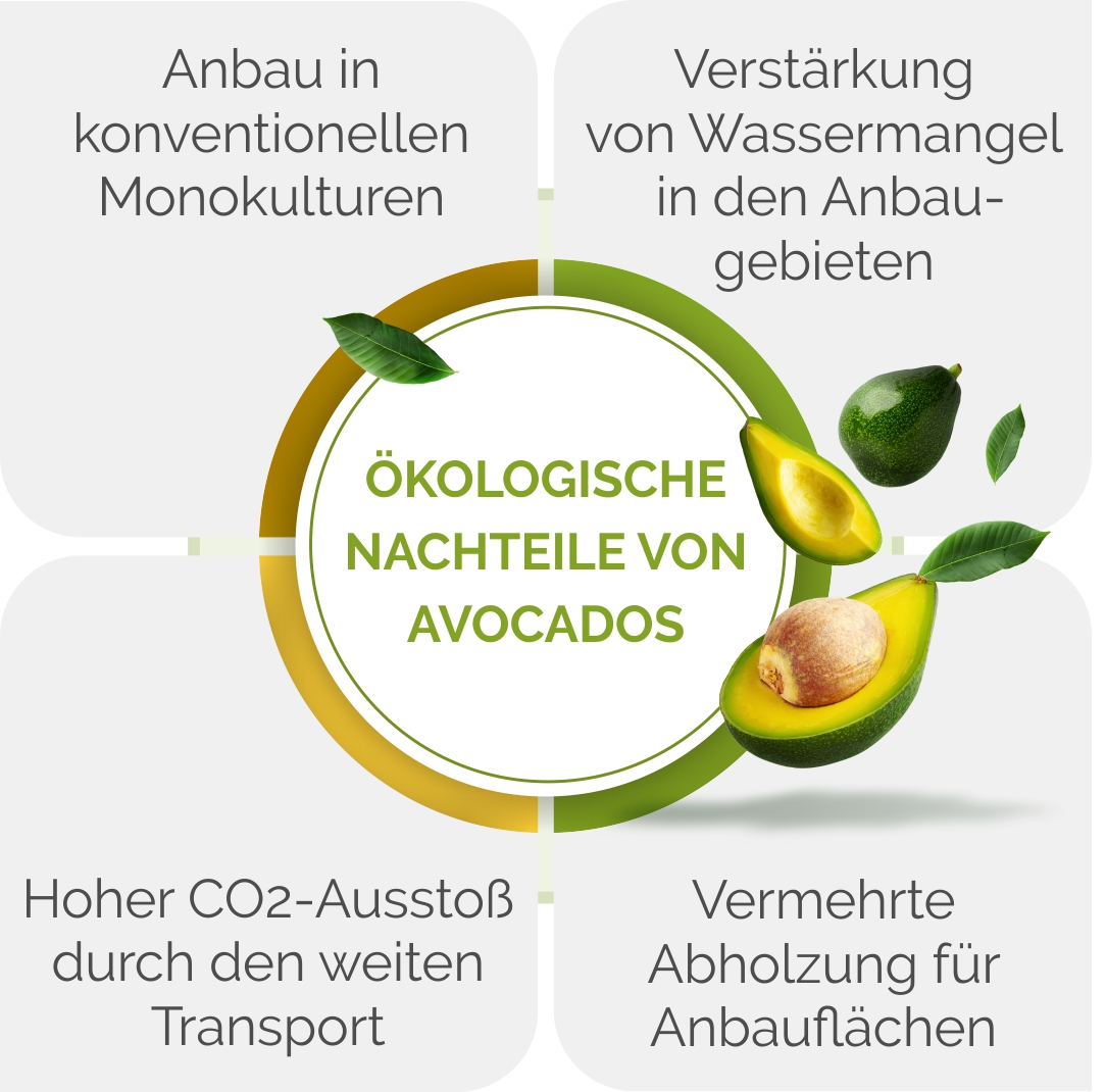 Grafik zu ökologischen Nachteilen der Avocado