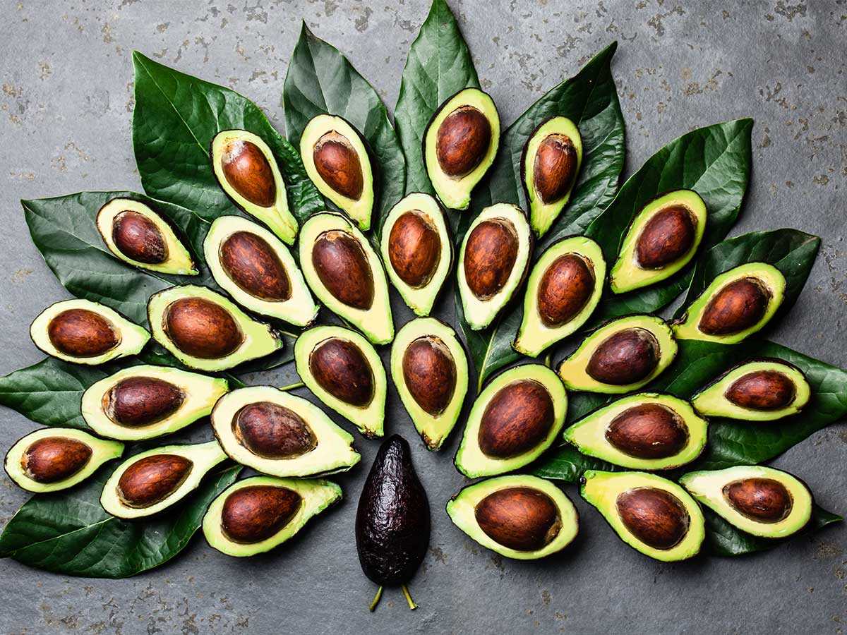 Avocado-Hälften in Pfau-Form