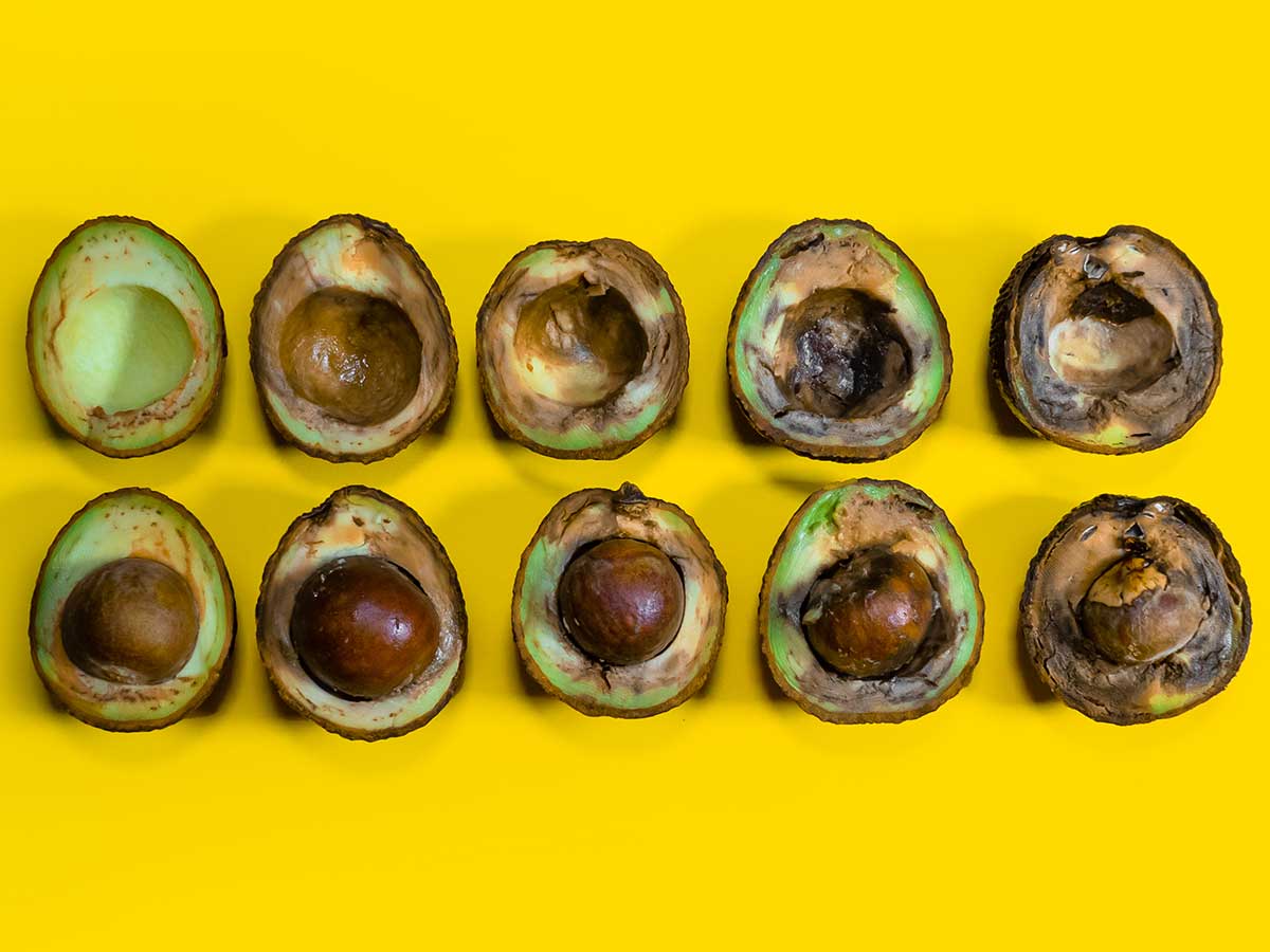 Avocados aufgereiht reif bis faul