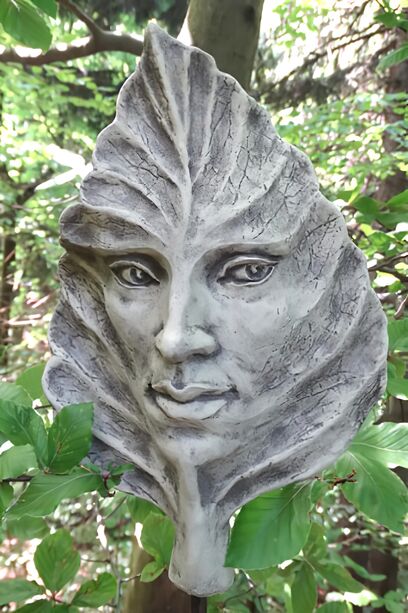 Besonderes Buchenblatt aus Stein mit Gesicht - Plant Fagus