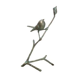 Kleiner Bronze Singvogel auf Ast - wetterfest - Zaunknig