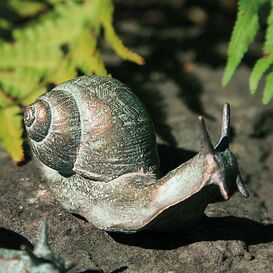 Schnecke aus Bronze mit erhobenem Kopf - Schnecke