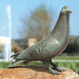 Bronze Taubenstatue - wetterfeste Gartenfigur - Taube...