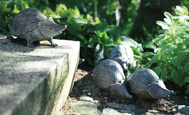 Exklusive Bronzefigur junger Igel für den Garten - Igeljungtier