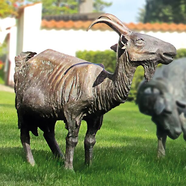 Große Ziegenskulptur - limitierte Bronzefiguren - Ziege