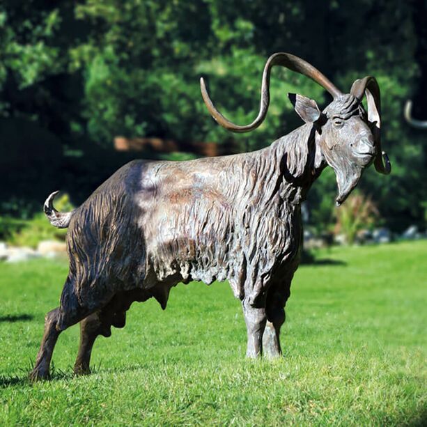 Limitierte Bronzeskulptur Ziegenbock - lebensgro - Ziegenbock