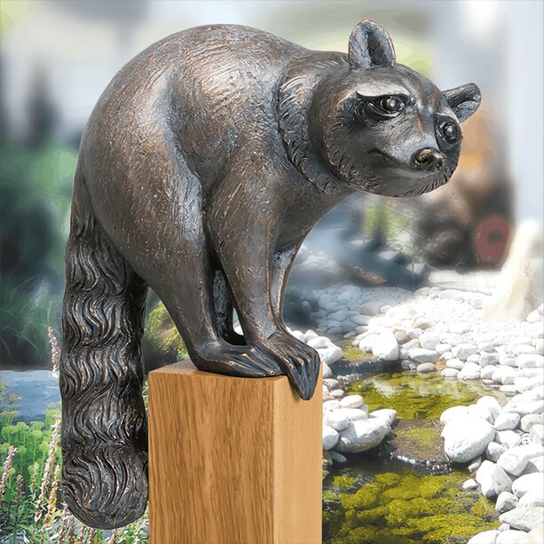 Waschbr Tierfigur aus Bronze fr Outdoorbereich - Waschbr / mit Sockel