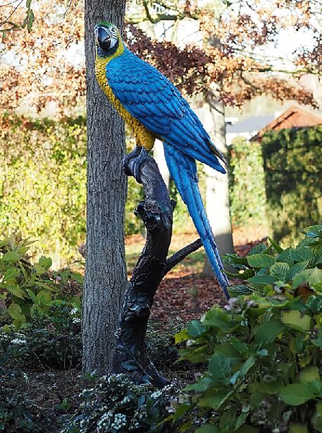 Blauer Ara auf Ast aus Bronze als Gartenskulptur - Papagei Tommi