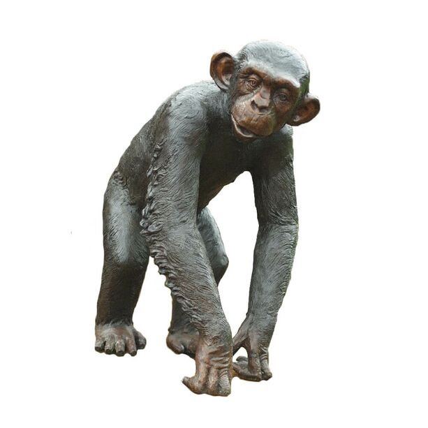 Laufender Affe als Bronze Tierskulptur - Schimpanse Flo
